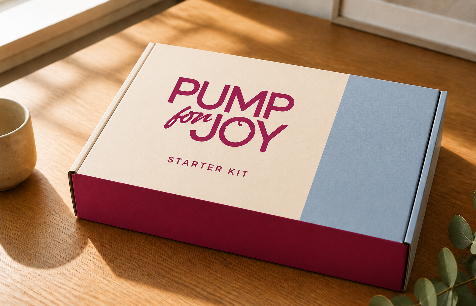 Pump For Joy Starter Kit packaging with carrying pouch and components